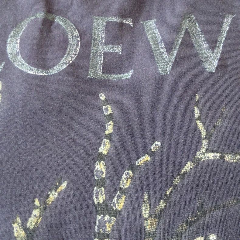 Loewe Loewe Cotton Logo Graphic Crew Neck T-Shirt - dmc Size US S / EU 44-46 / 1 - 4 Thumbnail