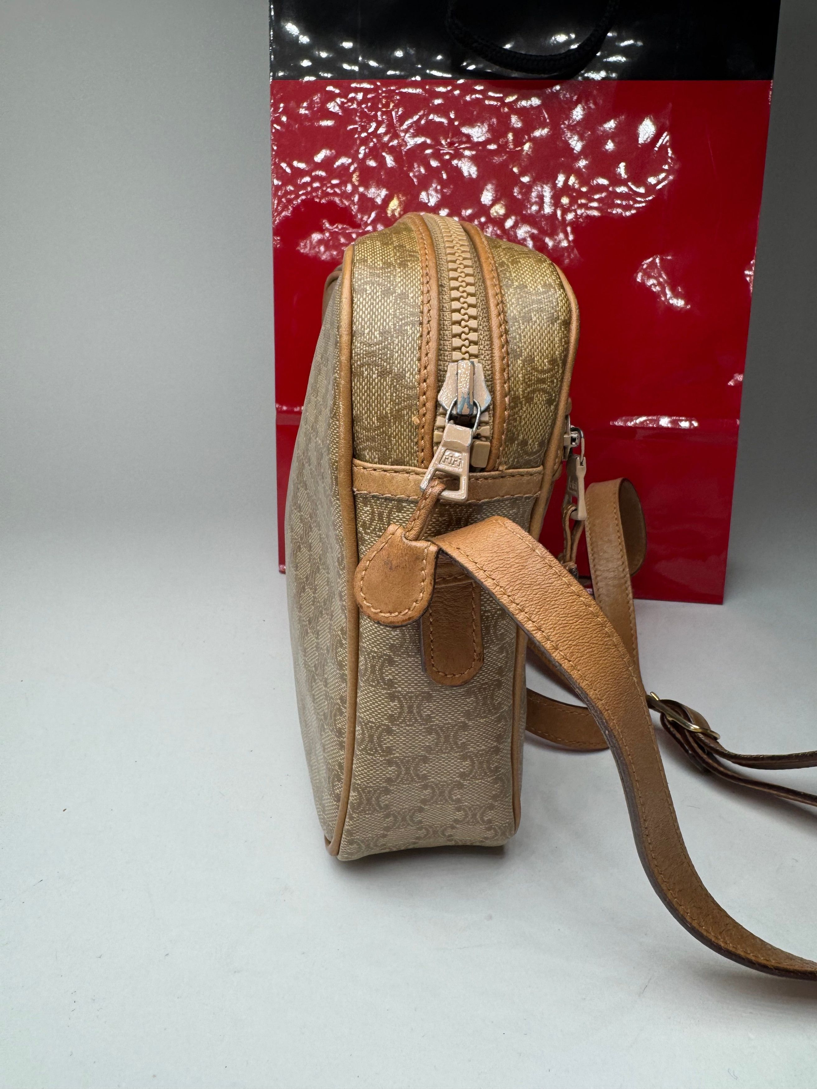 Celine Vintage Monogram Leather Triomphe Bag beige Size ONE SIZE - 12 Thumbnail