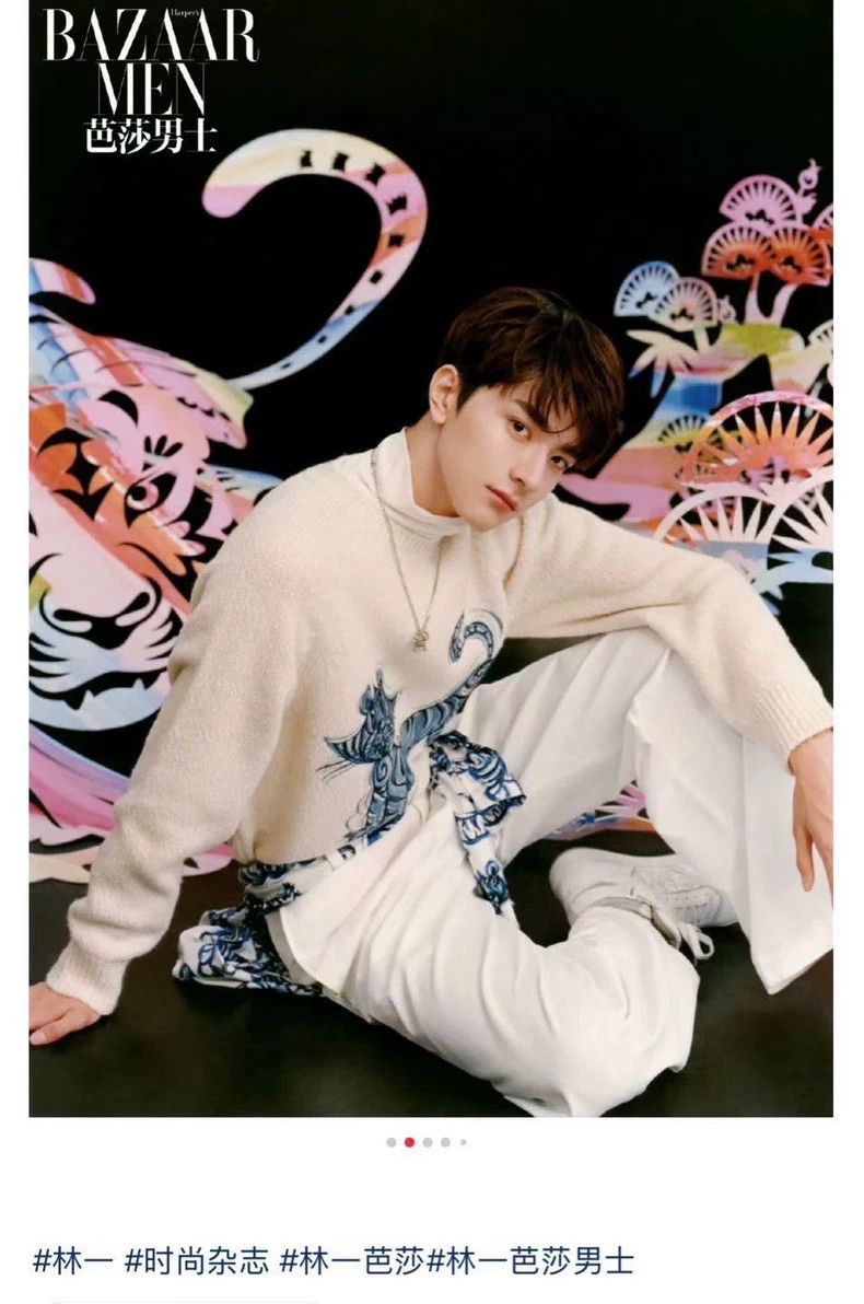Dior Dior x Kenny Scharf Tiger Embroidered Sweater Size US S / EU 44-46 / 1 - 5 Thumbnail