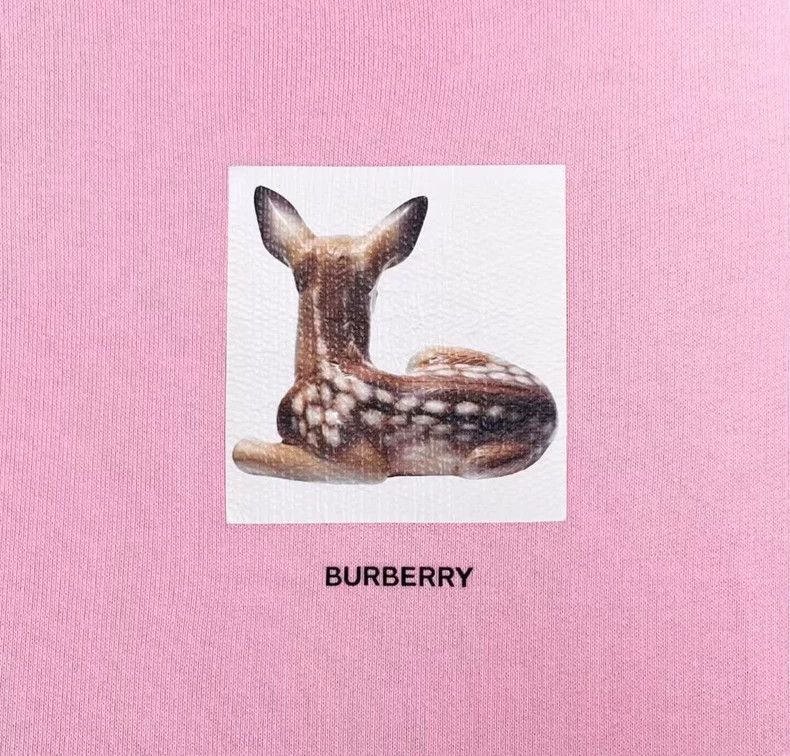 Burberry Burberry Pink Deer Logo Hoodie S Size US S / EU 44-46 / 1 - 6 Thumbnail