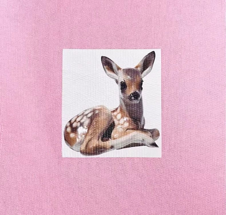 Burberry Burberry Pink Deer Logo Hoodie S Size US S / EU 44-46 / 1 - 5 Thumbnail