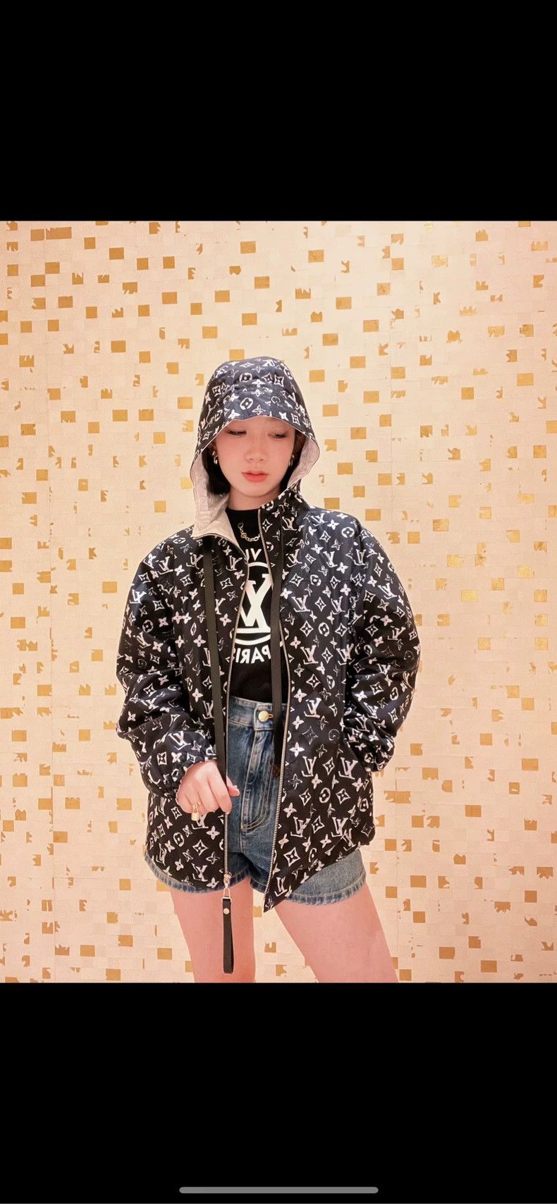 Louis Vuitton LV Monogram Lightweight Jacket - dmc Size US XS / EU 42 / 0 - 6 Thumbnail