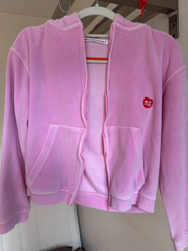 Alexander Wang Alexander Wang Apple Set Hoodie Top - dmc Size US XXS / EU 40 - 2 Thumbnail