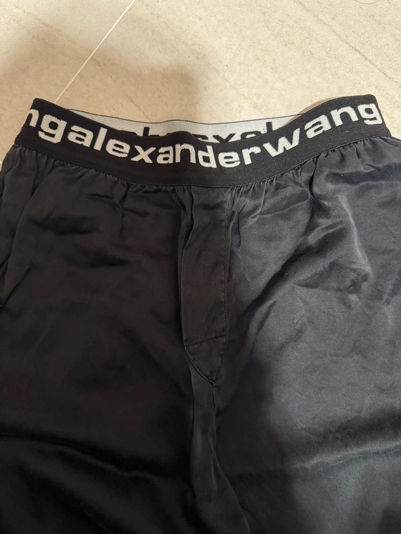 Alexander Wang Alexander Wang Silk Suit Pants XS - dmc Size US 26 / EU 42 - 3 Thumbnail