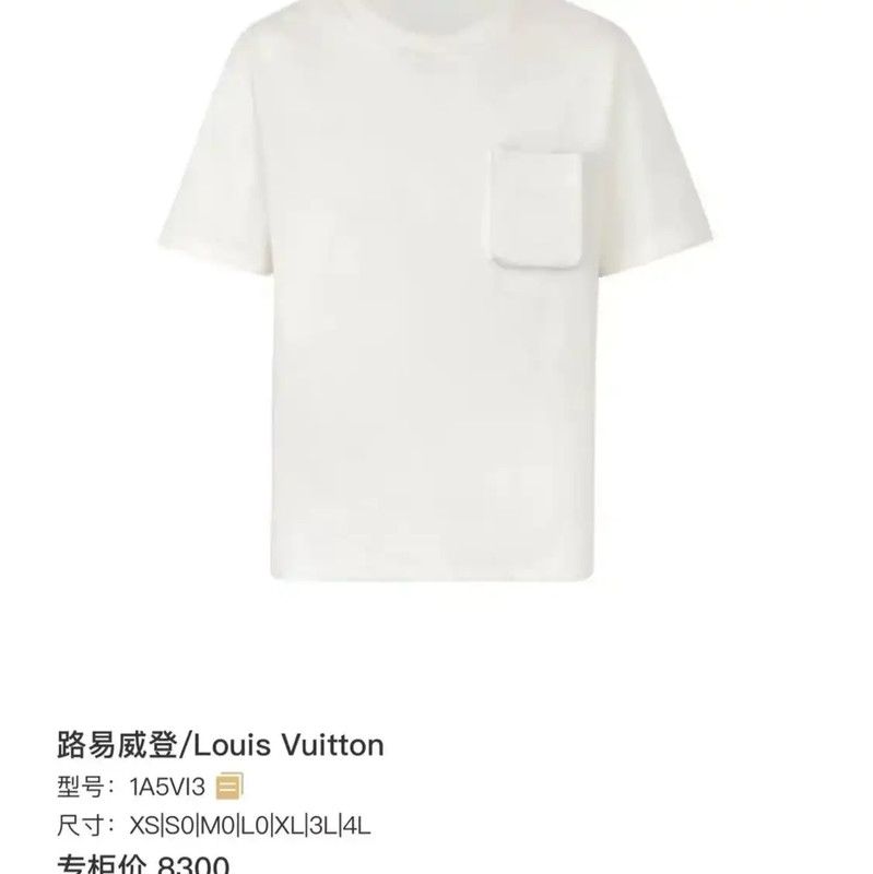 Louis Vuitton Louis Vuitton Slim Fit Grey Cotton T-Shirt 0089 Size US M / EU 48-50 / 2 - 6 Thumbnail