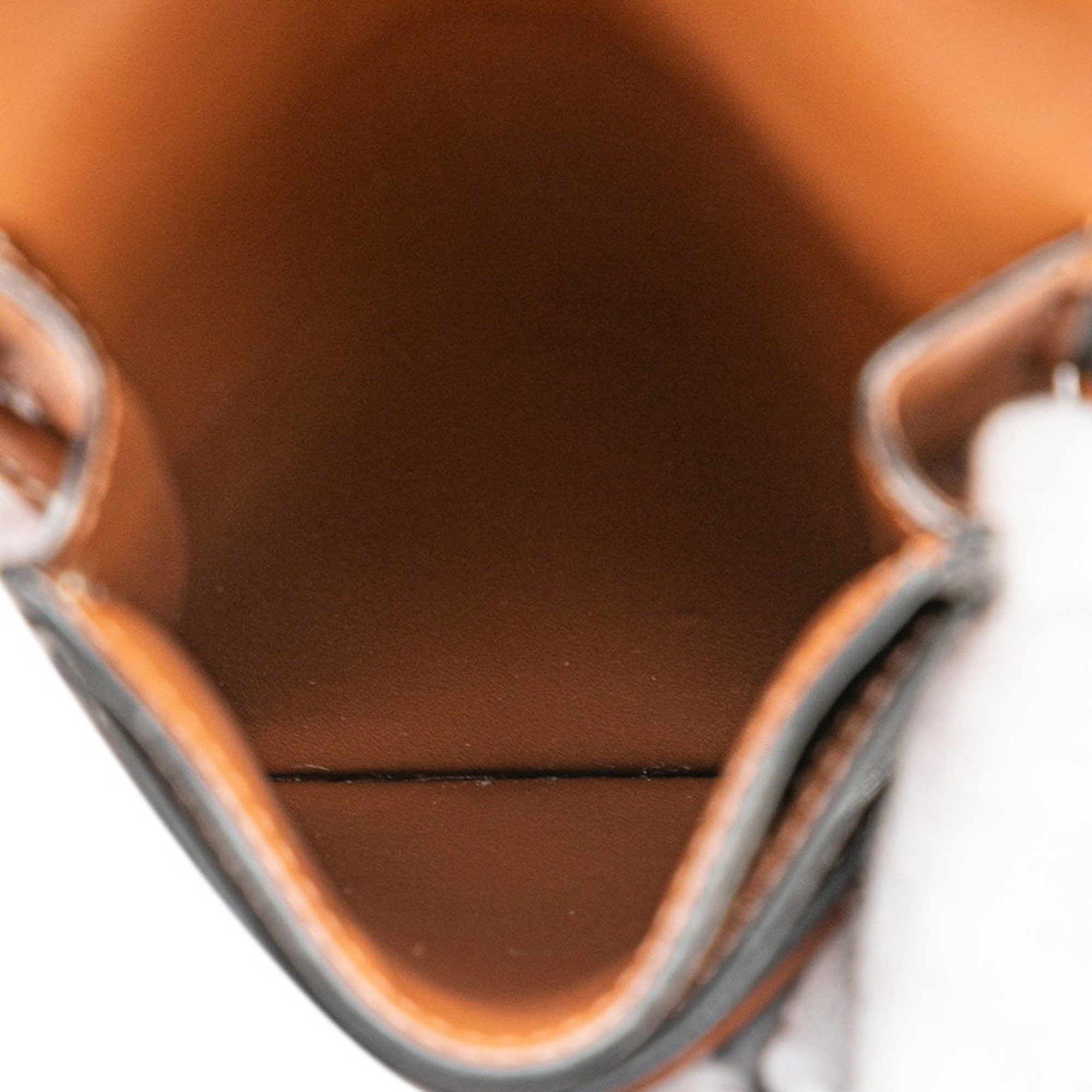 Celine Celine Triomphe Pouch Shoulder Bag in Black and Brown Leather for Women Size ONE SIZE - 6 Thumbnail