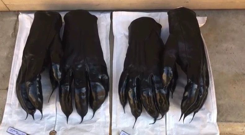 Carol Christian Poell Carol Christian Poell Leather Gloves - dmc Size ONE SIZE - 9 Thumbnail
