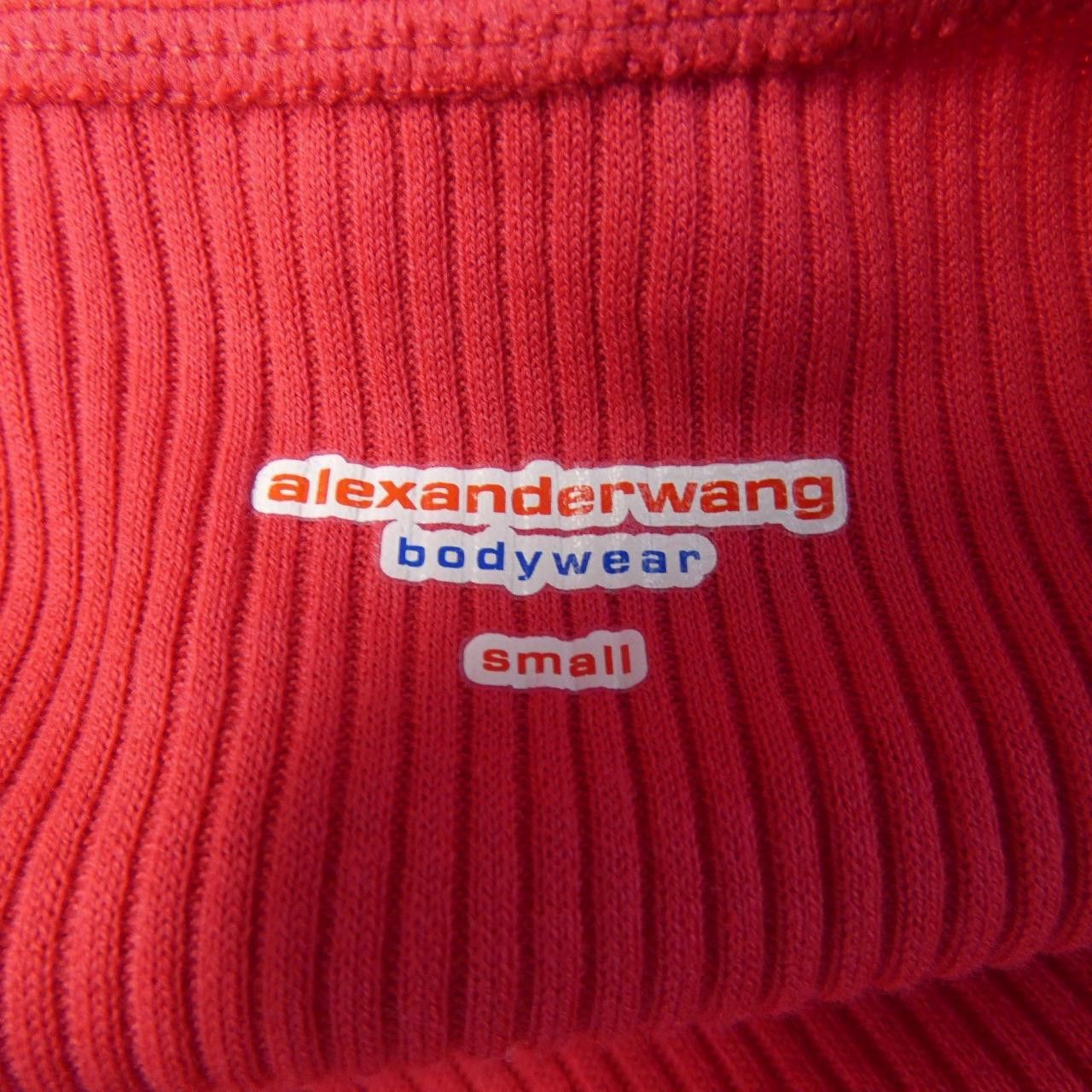 Other Other Alexander Wang bodywear Dress Others Dresses bodywear DUTY FREE for USA Size ONE SIZE - 4 Thumbnail