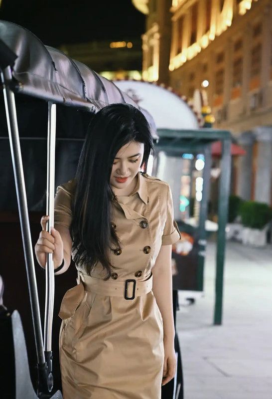 Burberry Burberry Summer Khaki Cotton Dress for Women Size L / US 10 / IT 46 - 9 Thumbnail