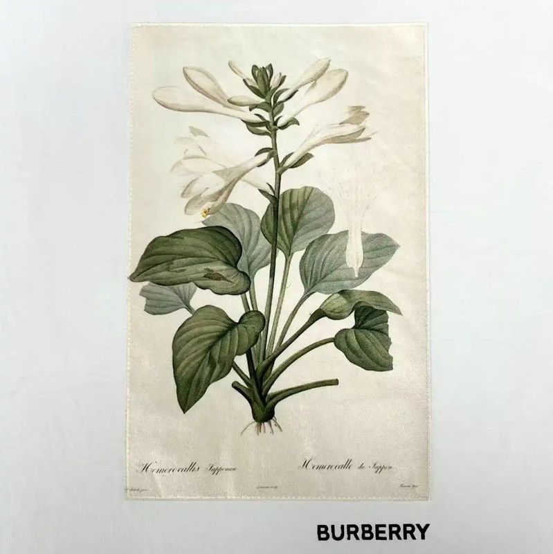 Burberry Burberry Short Sleeve White T-Shirt with Embroidery Size XXS / US 00 / IT 34 - 3 Thumbnail