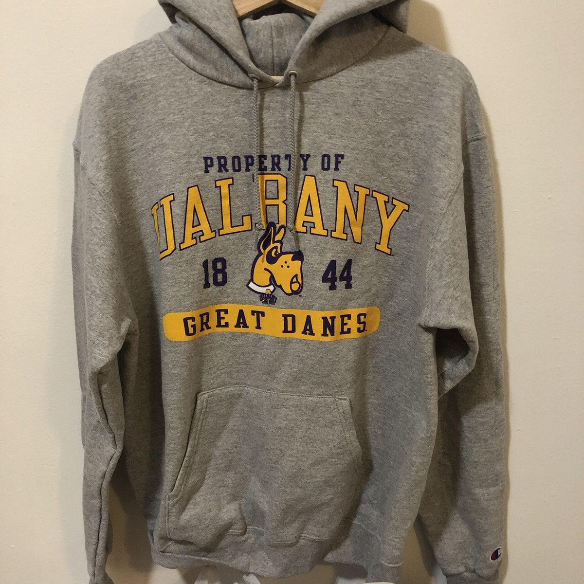 Champion Authentic College Pullover Hoodie, Men's Size L cotton gray type Vintage Second Hand