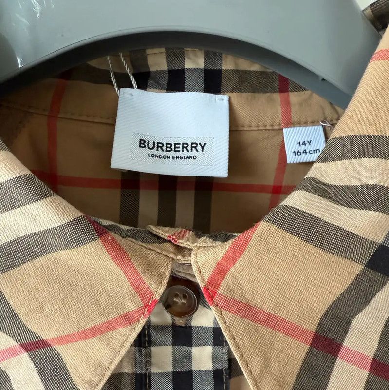 Burberry Burberry Long Sleeve Cotton Check Shirt Size L / US 10 / IT 46 - 5 Thumbnail