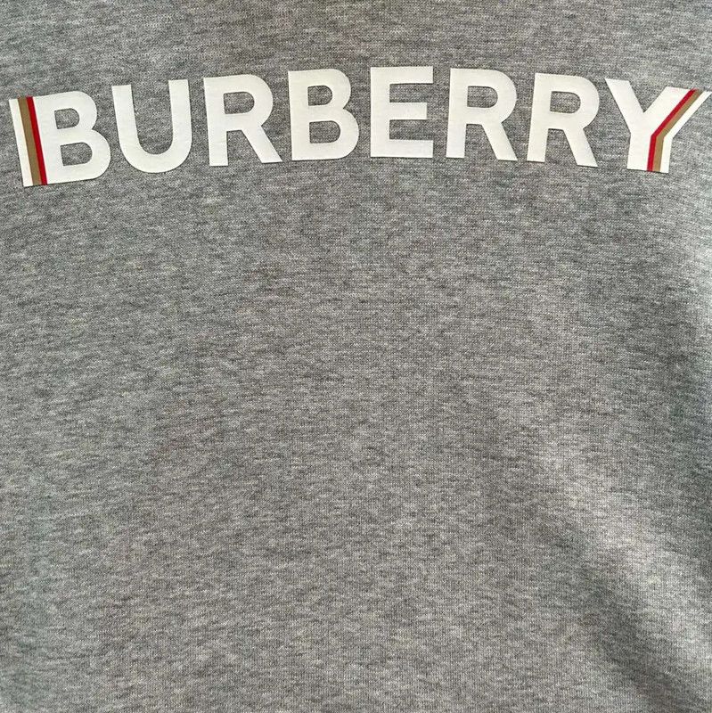 Burberry Burberry Gray Cotton Women's Hoodie Size L / US 10 / IT 46 - 6 Thumbnail