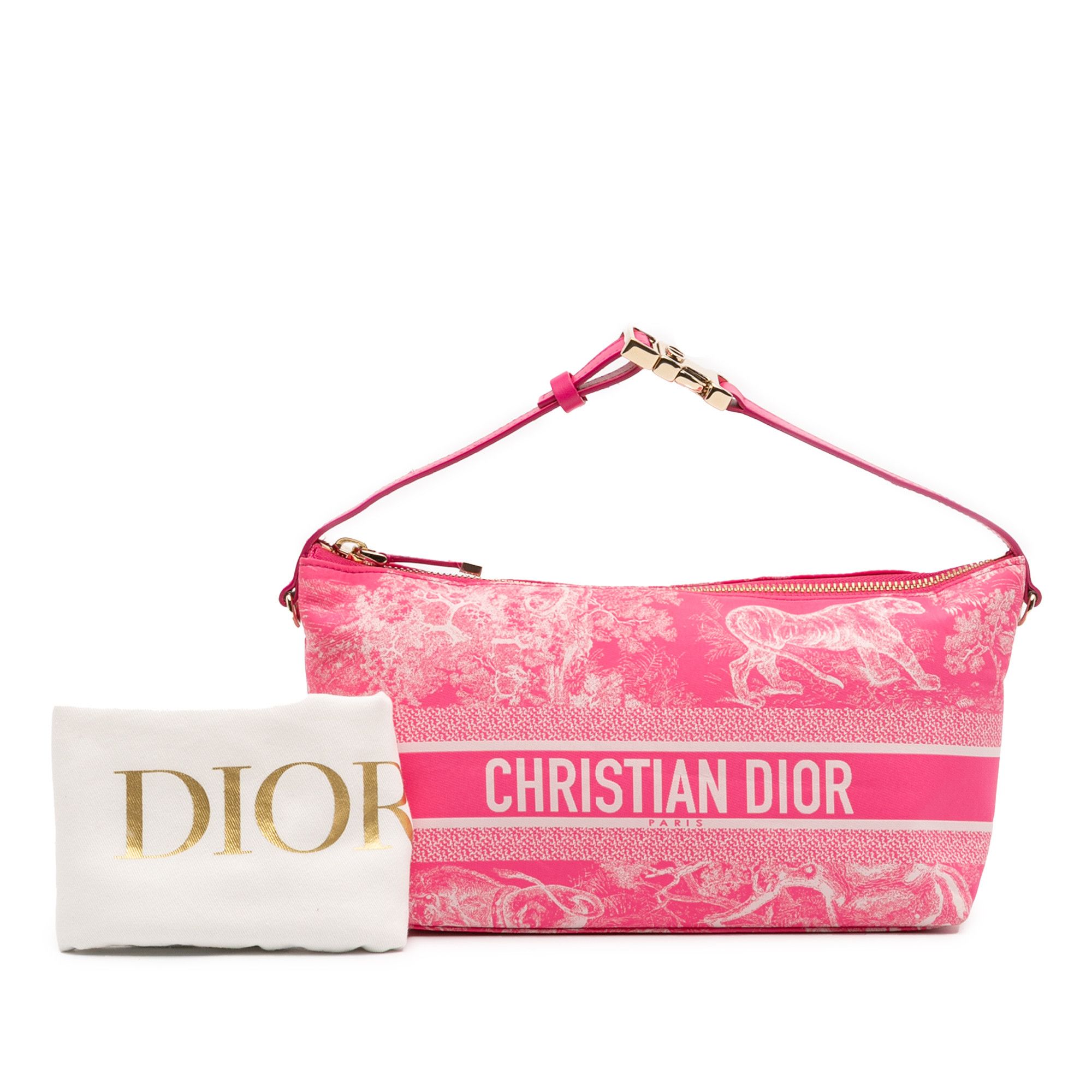 Dior Dior Medium Technical Fabric Toile de Jouy Reverse DiorTravel Nomad Pouch Size ONE SIZE - 11 Thumbnail
