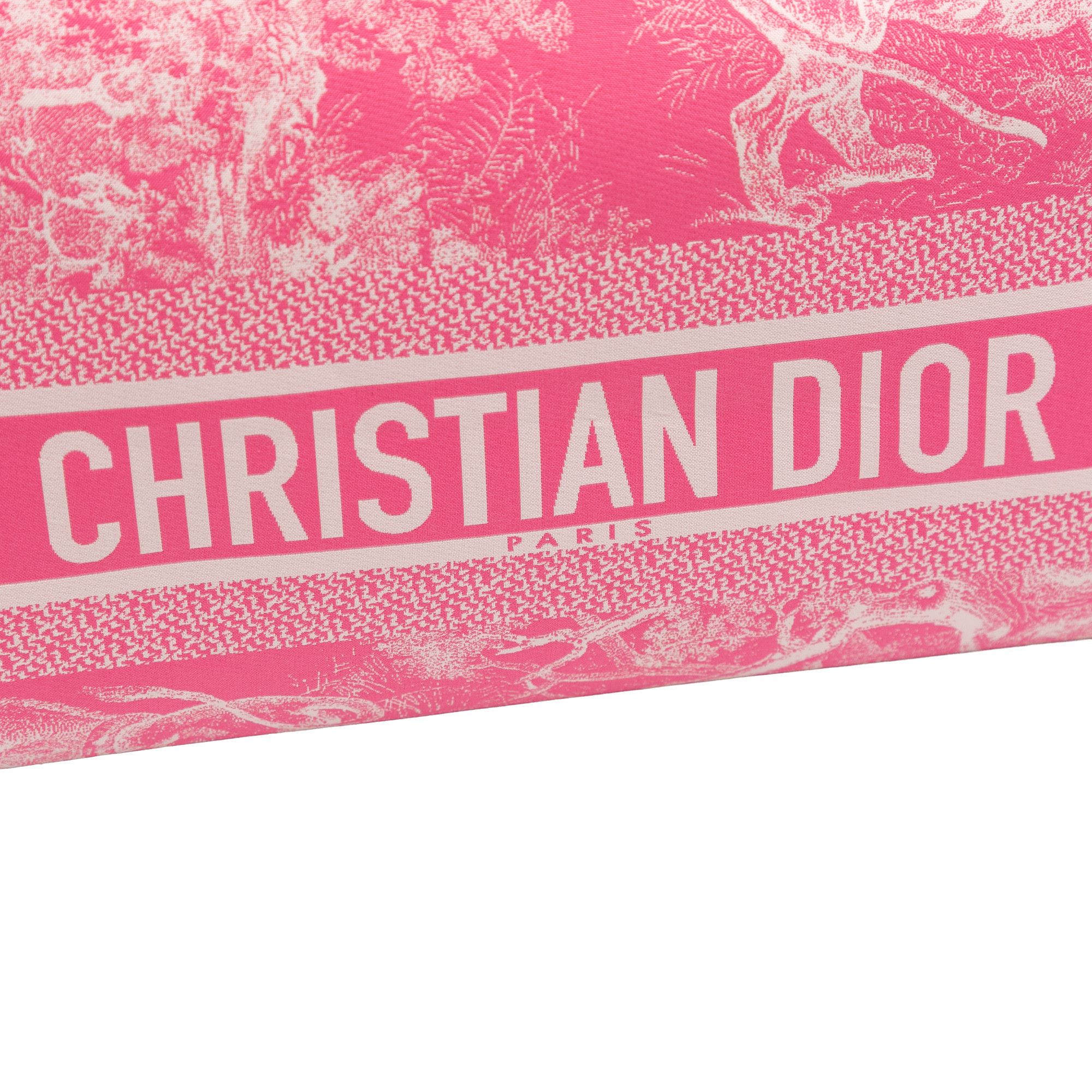 Dior Dior Medium Technical Fabric Toile de Jouy Reverse DiorTravel Nomad Pouch Size ONE SIZE - 9 Thumbnail