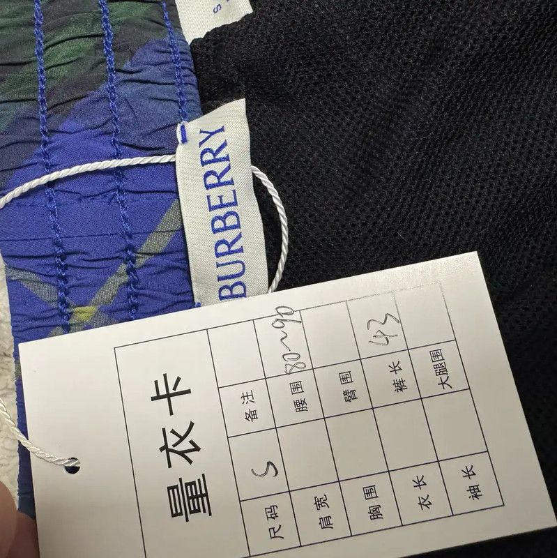 Burberry Burberry Men's Blue Nylon Shorts Size US 27 - 3 Thumbnail