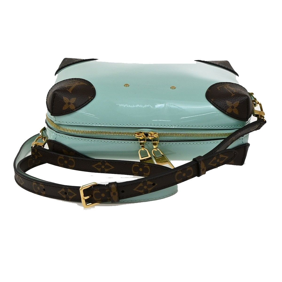 Louis Vuitton Louis Vuitton Venice Handbag Vernis with Monogram Canvas Size ONE SIZE - 8 Thumbnail