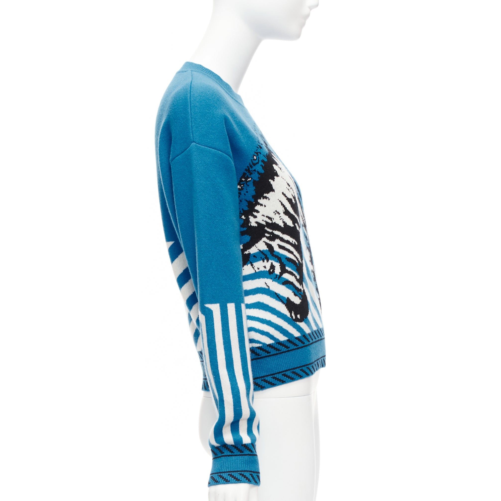 Dior CHRISTIAN DIOR D-Jungle Pop Zebra graphic blue pink cashmere sweater FR34 S Size XS / US 0-2 / IT 36-38 - 4 Thumbnail