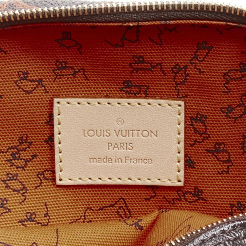 Louis Vuitton rare LOUIS VUITTON 2018 Runway Catogram Paname PM monogram crossbody camera bag Size ONE SIZE - 10 Thumbnail