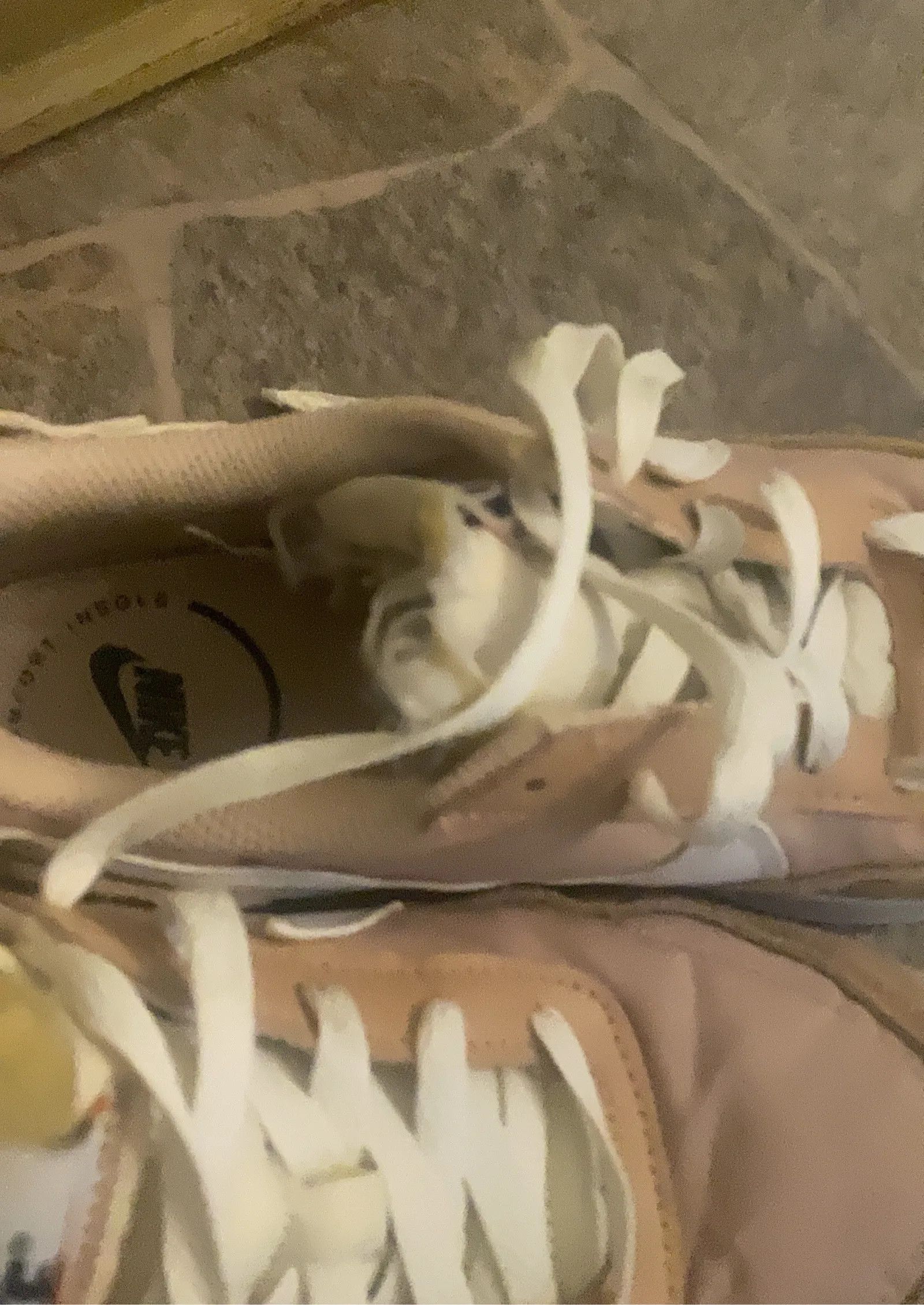 Nike Nike Sneakers Size US 9 / IT 39 - 4 Thumbnail