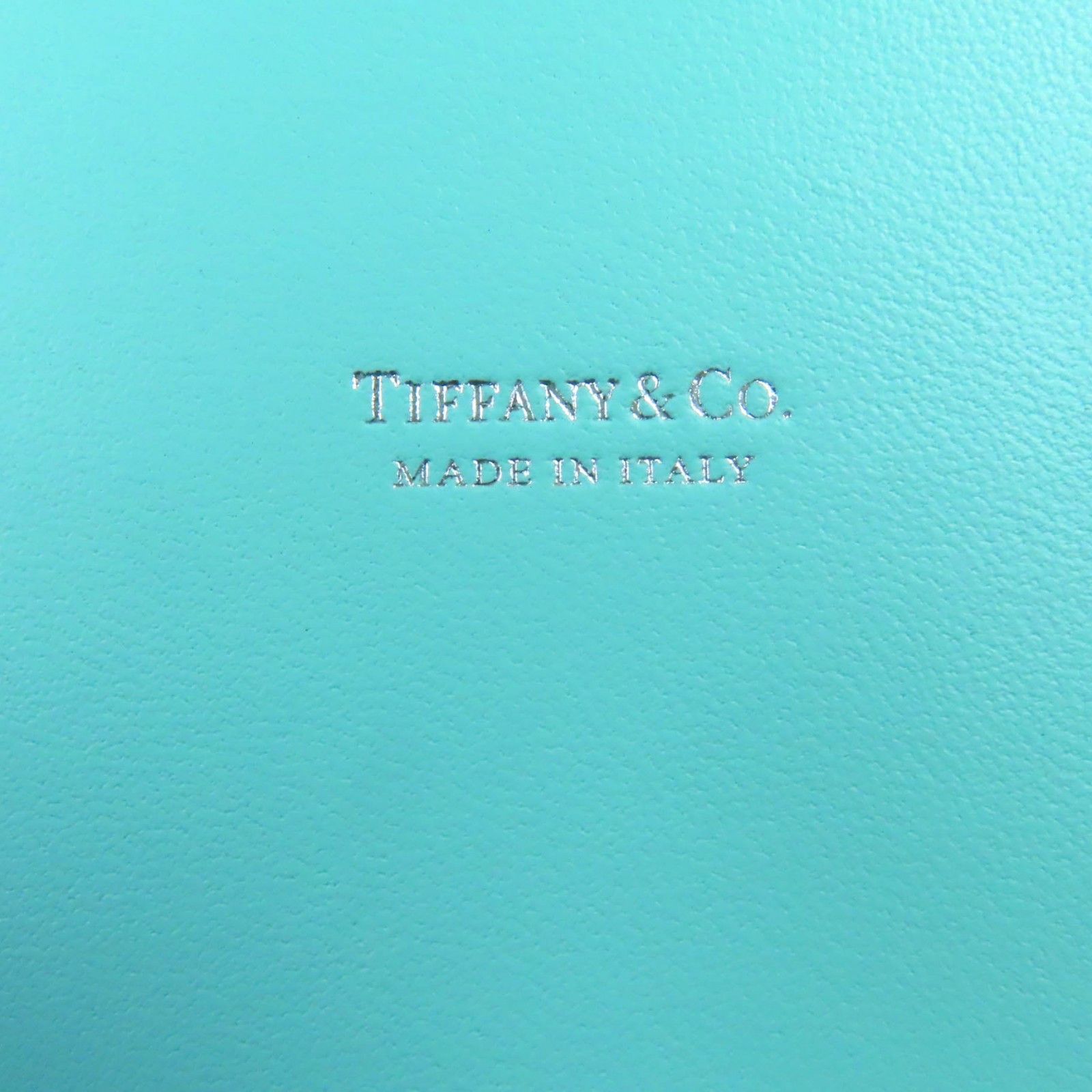 Tiffany & Co. Tiffany & Co. Tiffany&Co. Leather Pouch Leather Vanity Bag DUTY FREE for USA Size ONE SIZE - 8 Thumbnail
