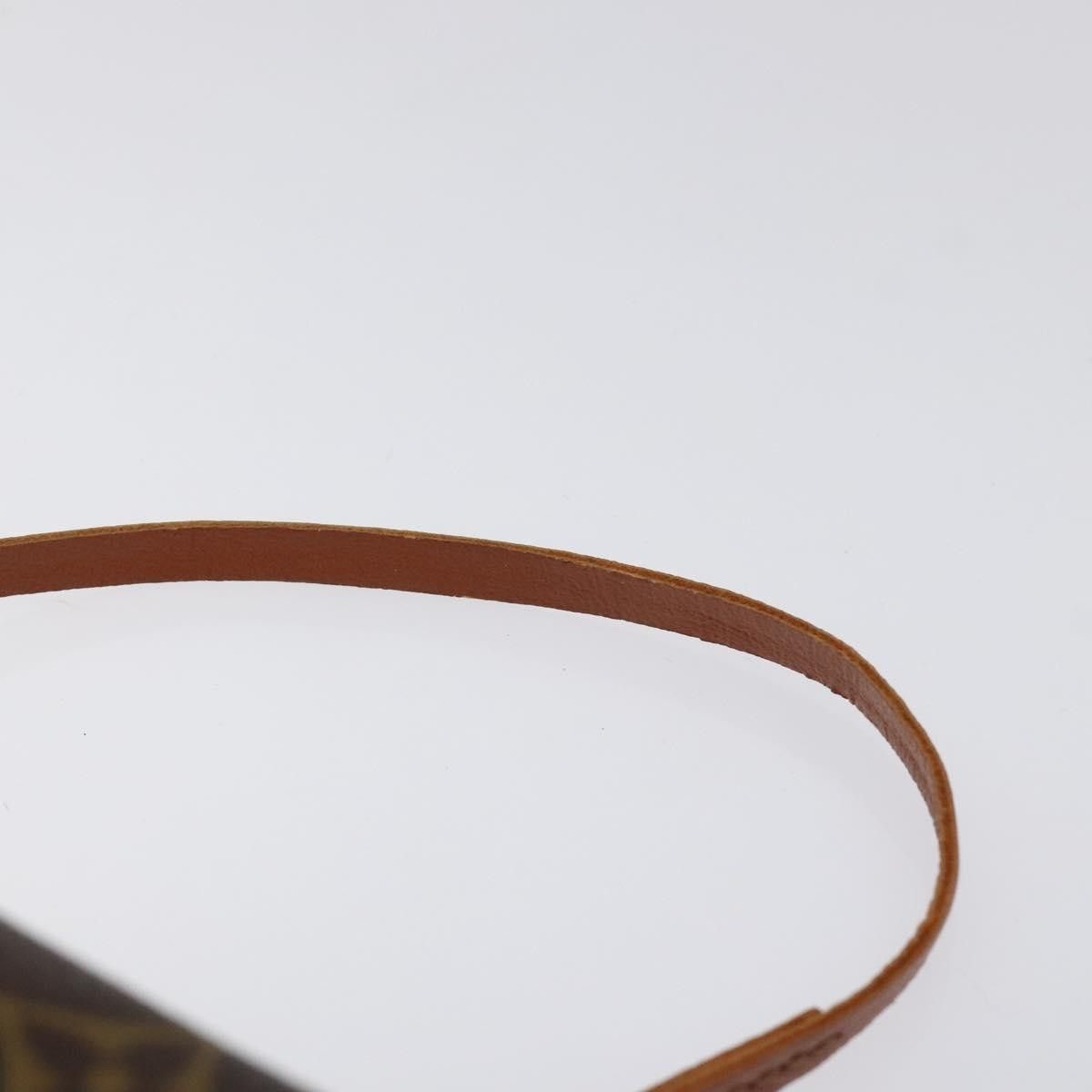 Louis Vuitton Louis Vuitton Papillon Pochette Monogram Canvas Size ONE SIZE - 15 Thumbnail