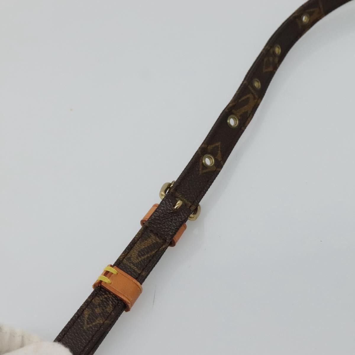 Louis Vuitton Louis Vuitton Amazone Bag Monogram Canvas Size ONE SIZE - 17 Thumbnail