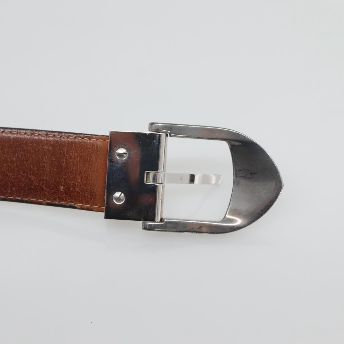 Louis Vuitton Louis Vuitton Classique Belt Taiga Leather Size ONE SIZE - 13 Thumbnail