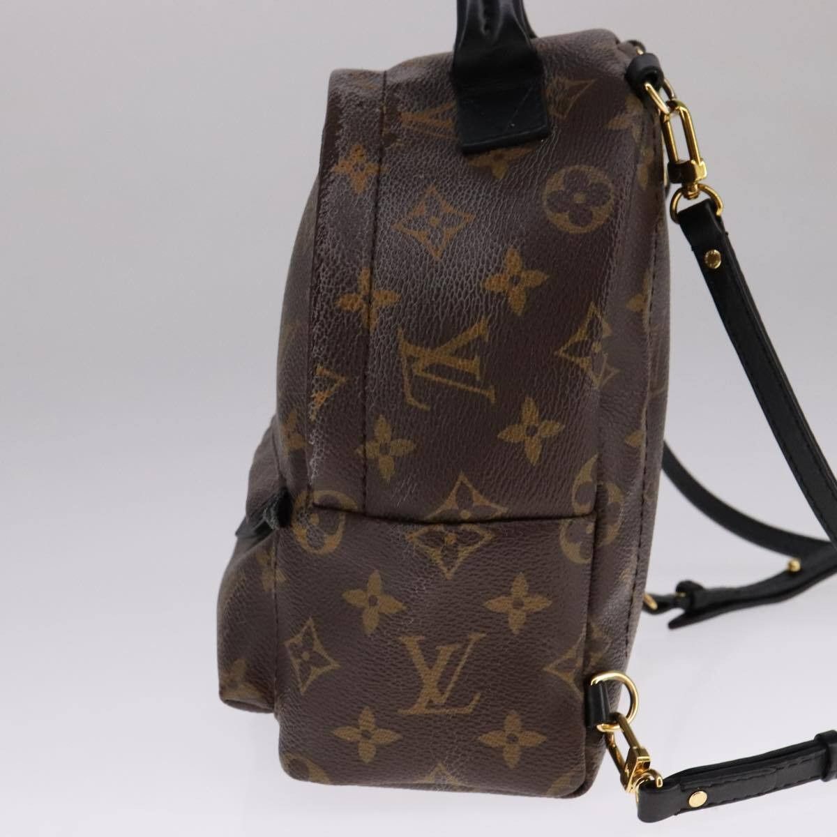 Louis Vuitton Louis Vuitton Palm Springs Backpack Monogram Canvas Size ONE SIZE - 4 Thumbnail