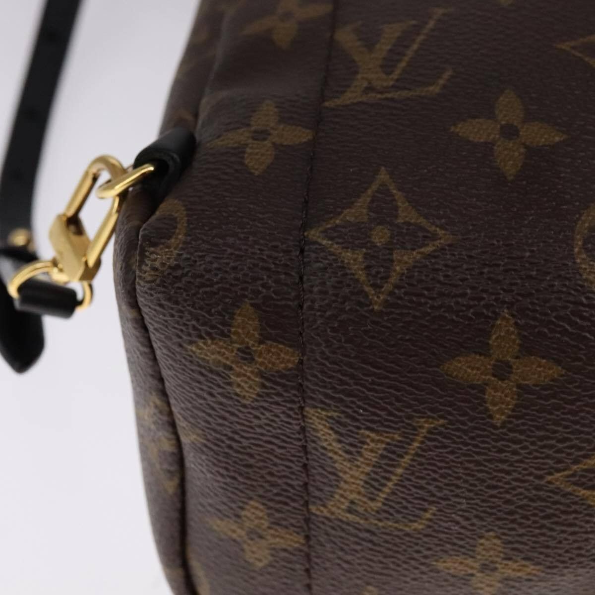 Louis Vuitton Louis Vuitton Palm Springs Backpack Monogram Canvas Size ONE SIZE - 11 Thumbnail