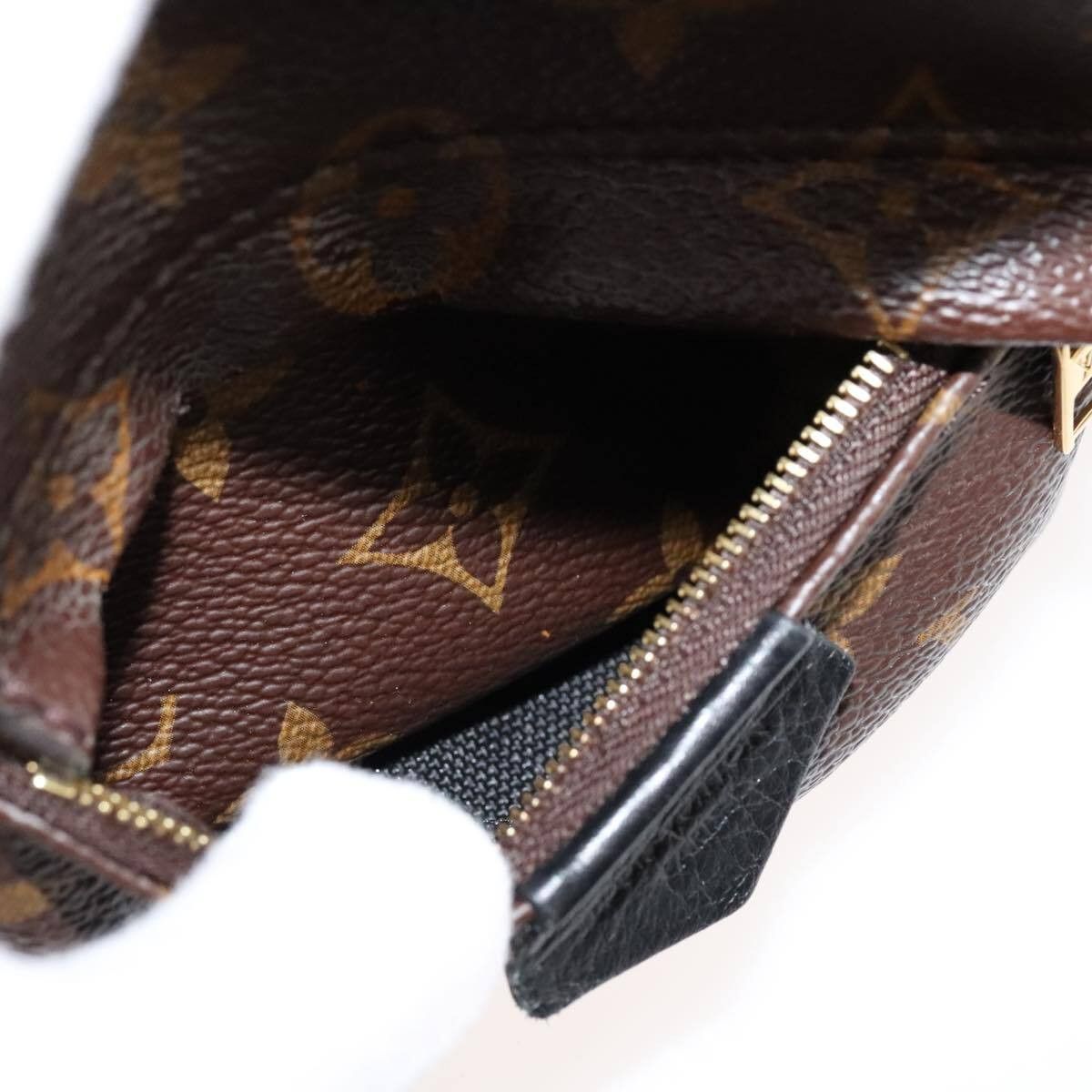 Louis Vuitton Louis Vuitton Palm Springs Backpack Monogram Canvas Size ONE SIZE - 22 Thumbnail