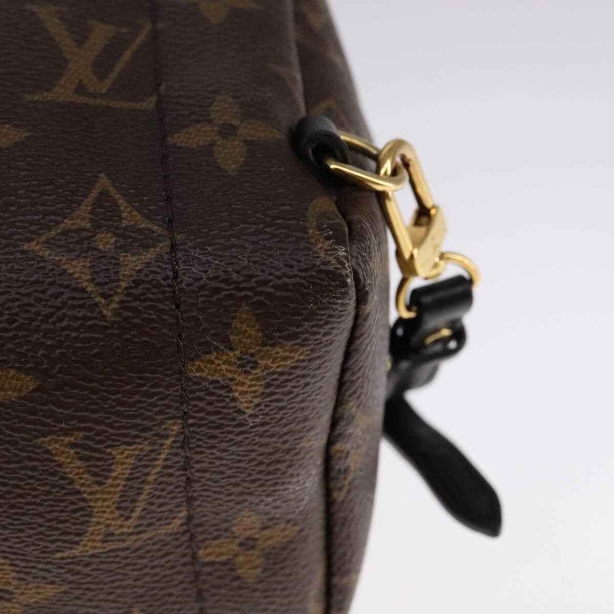 Louis Vuitton Louis Vuitton Palm Springs Backpack Monogram Canvas Size ONE SIZE - 12 Thumbnail