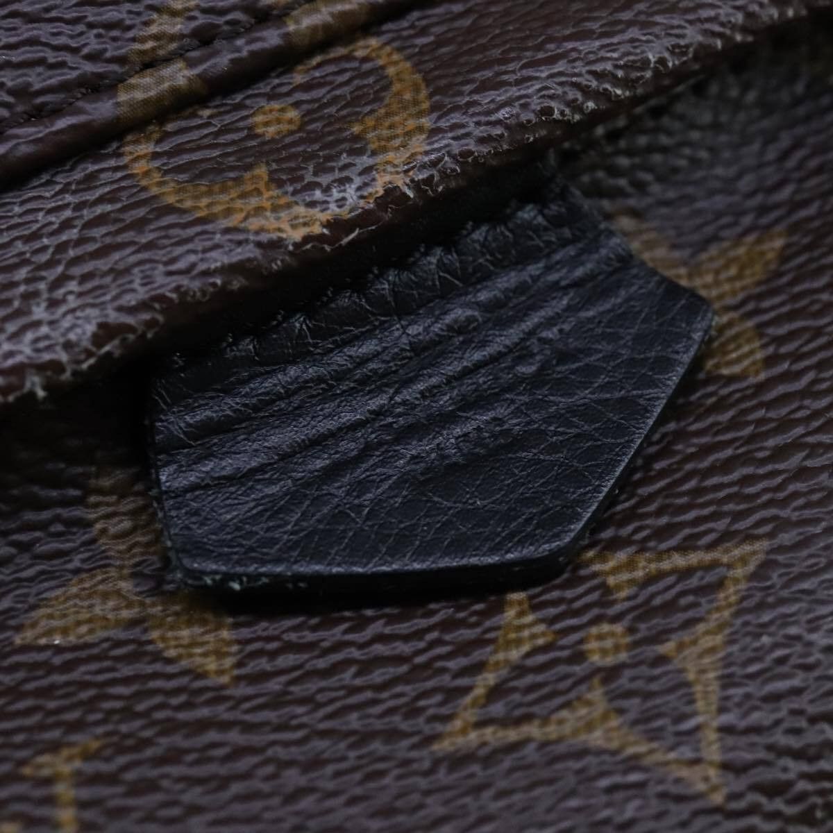 Louis Vuitton Louis Vuitton Palm Springs Backpack Monogram Canvas Size ONE SIZE - 14 Thumbnail