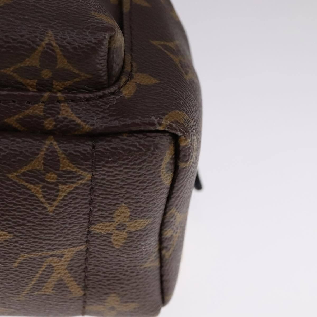 Louis Vuitton Louis Vuitton Palm Springs Backpack Monogram Canvas Size ONE SIZE - 10 Thumbnail
