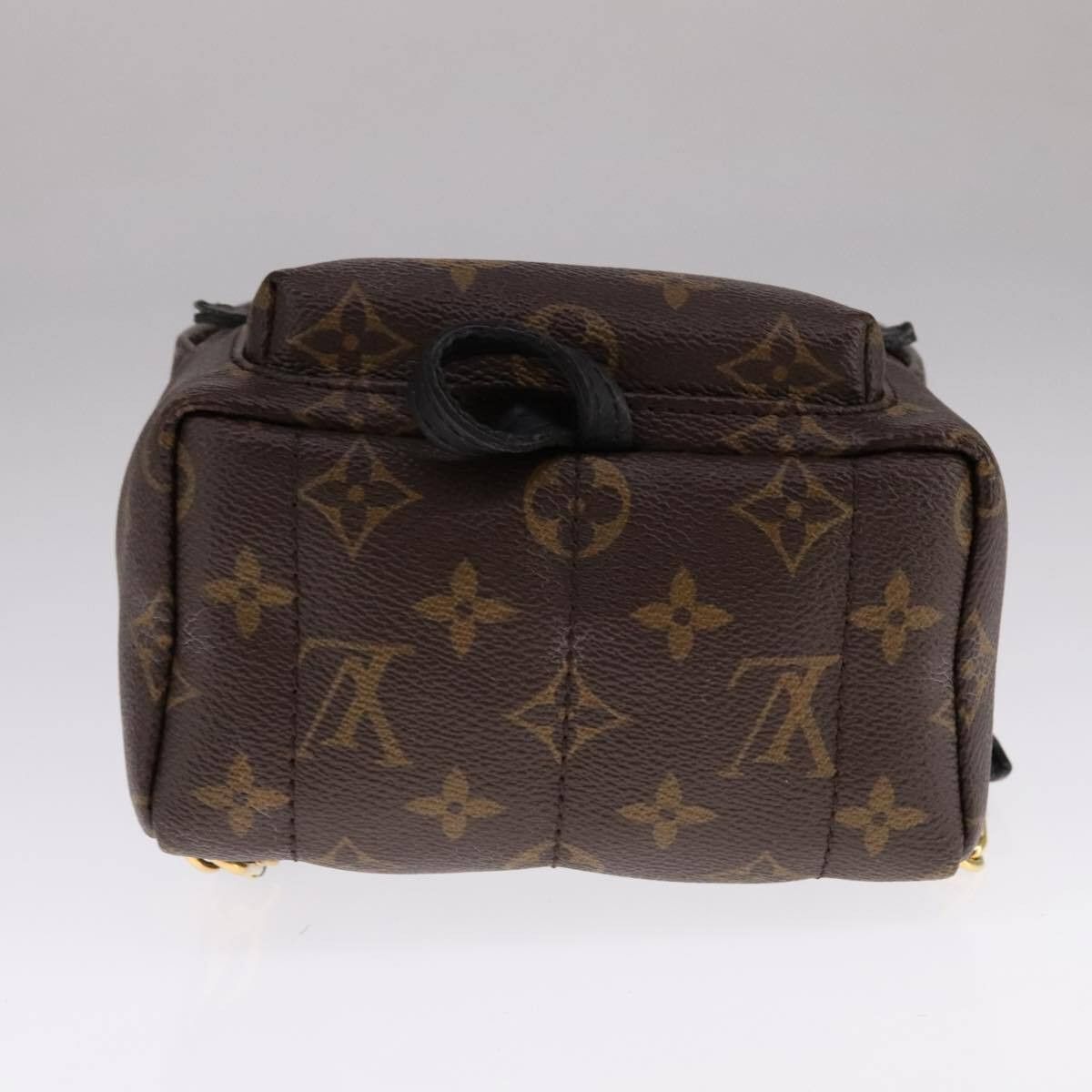 Louis Vuitton Louis Vuitton Palm Springs Backpack Monogram Canvas Size ONE SIZE - 24 Thumbnail