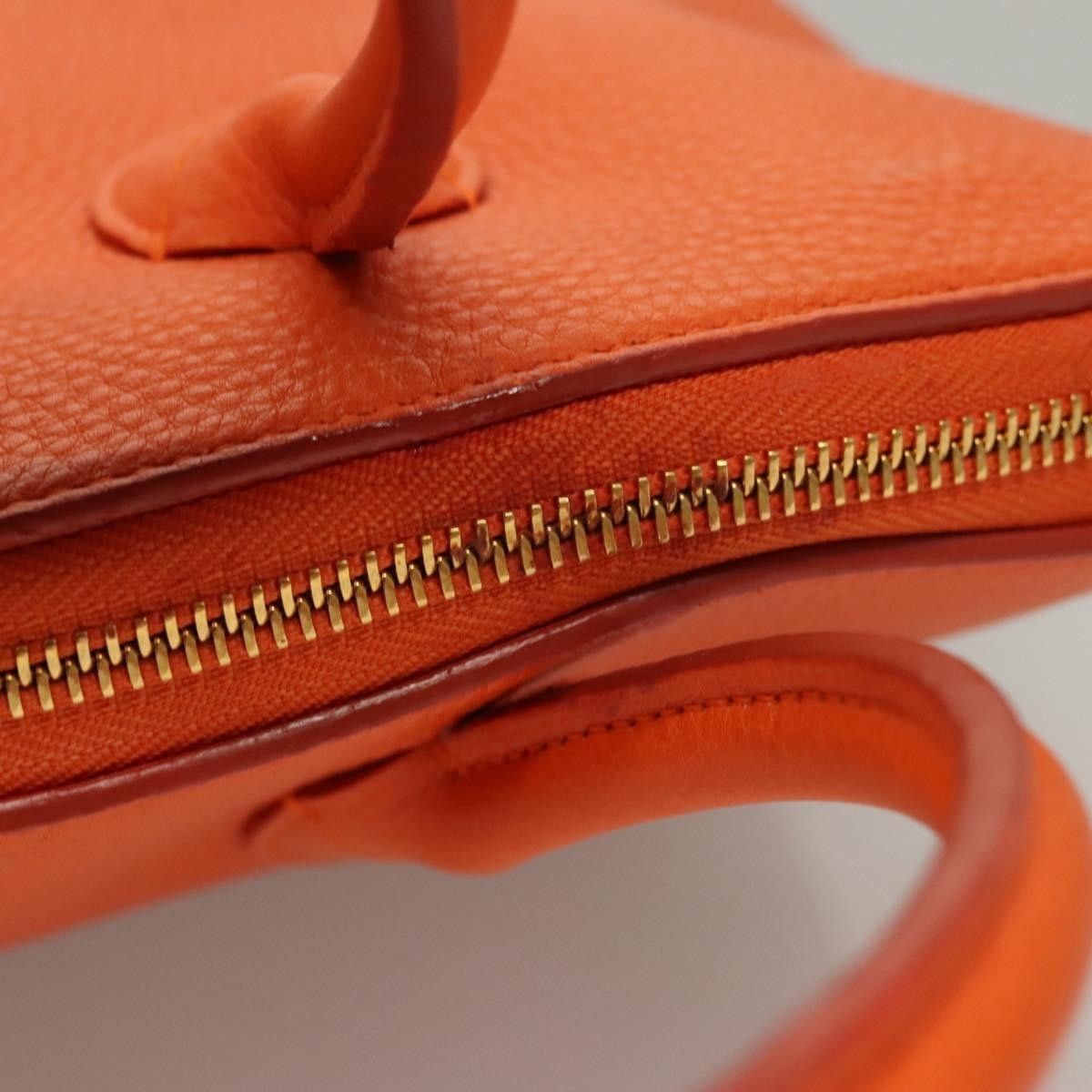 Louis Vuitton Louis Vuitton Suhali Lockit Handbag Leather Size ONE SIZE - 17 Thumbnail