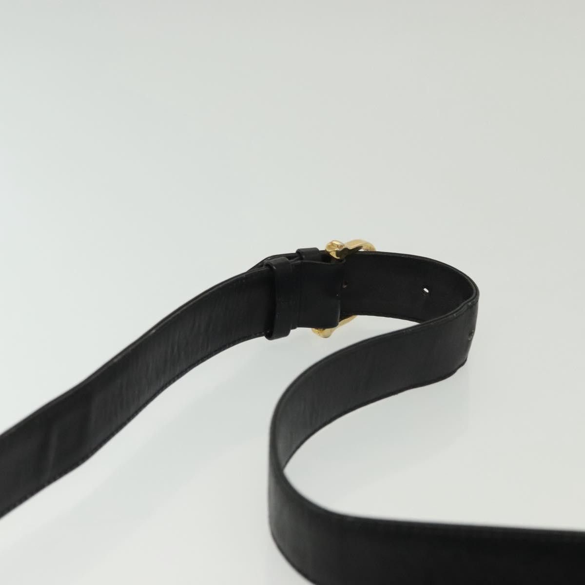 Celine Celine Horse Carriage Leather Size ONE SIZE - 16 Thumbnail