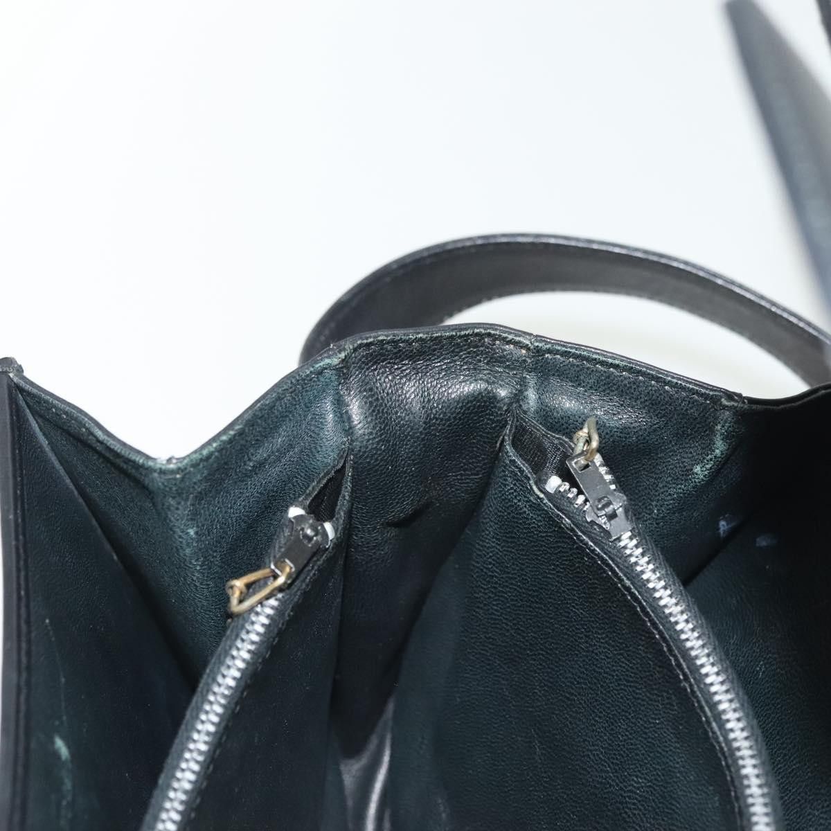 Celine Celine Horse Carriage Leather Size ONE SIZE - 20 Thumbnail