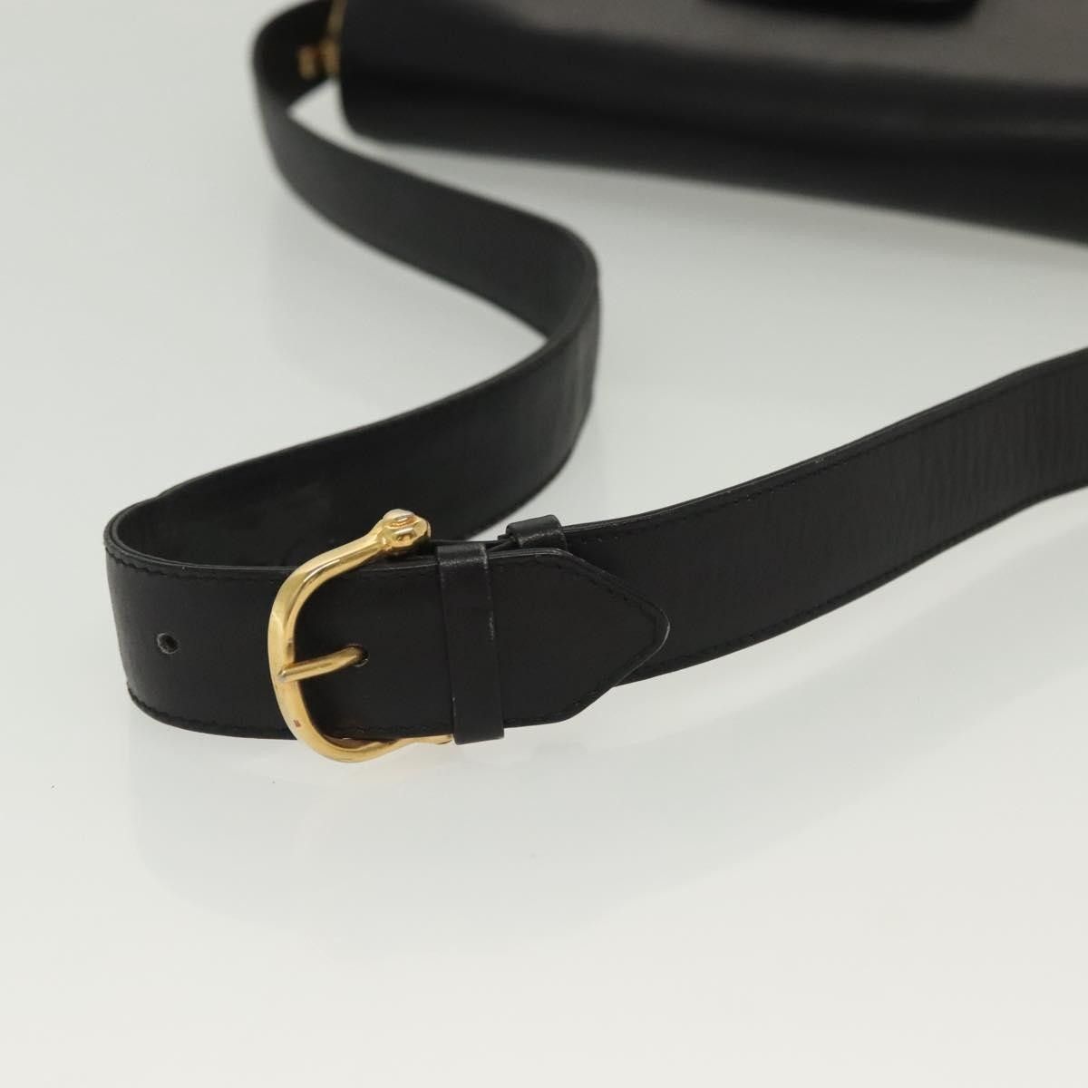 Celine Celine Horse Carriage Leather Size ONE SIZE - 7 Thumbnail