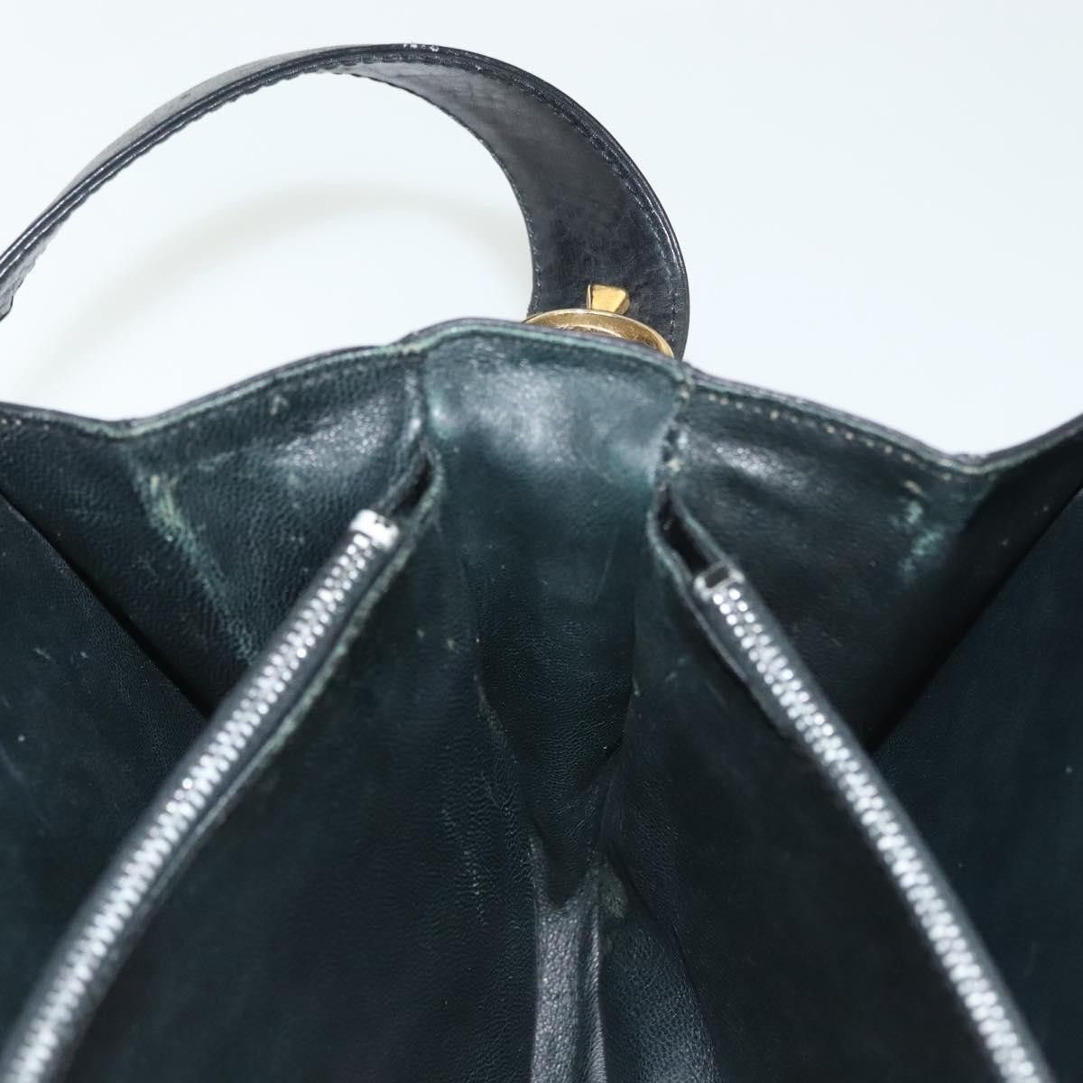 Celine Celine Horse Carriage Leather Size ONE SIZE - 19 Thumbnail