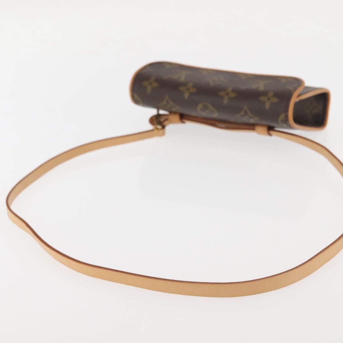 Louis Vuitton Louis Vuitton Florentine Waist Bag Monogram Canvas Size ONE SIZE - 8 Thumbnail