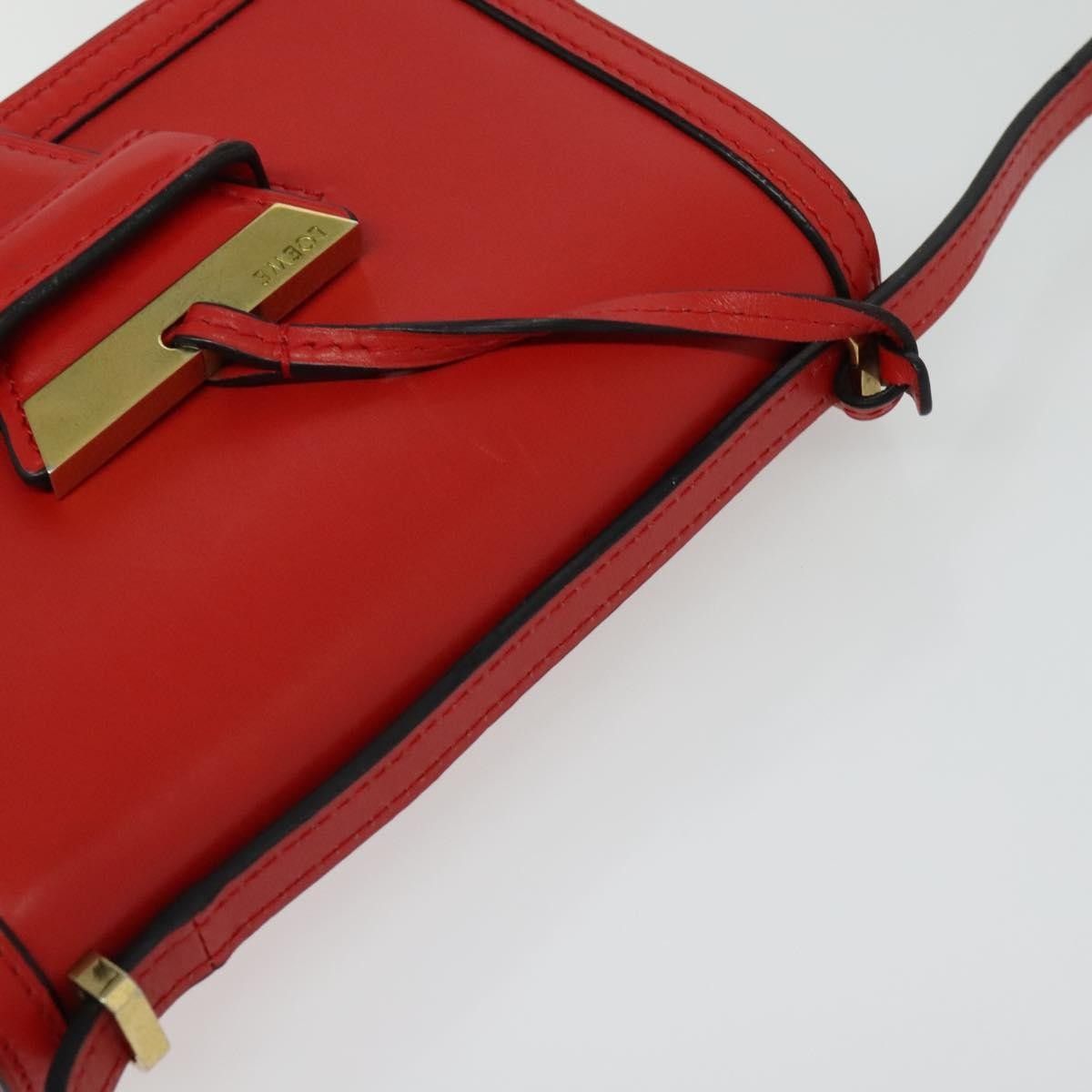 Loewe Loewe Barcelona Shoulder Bag Leather Size ONE SIZE - 16 Thumbnail