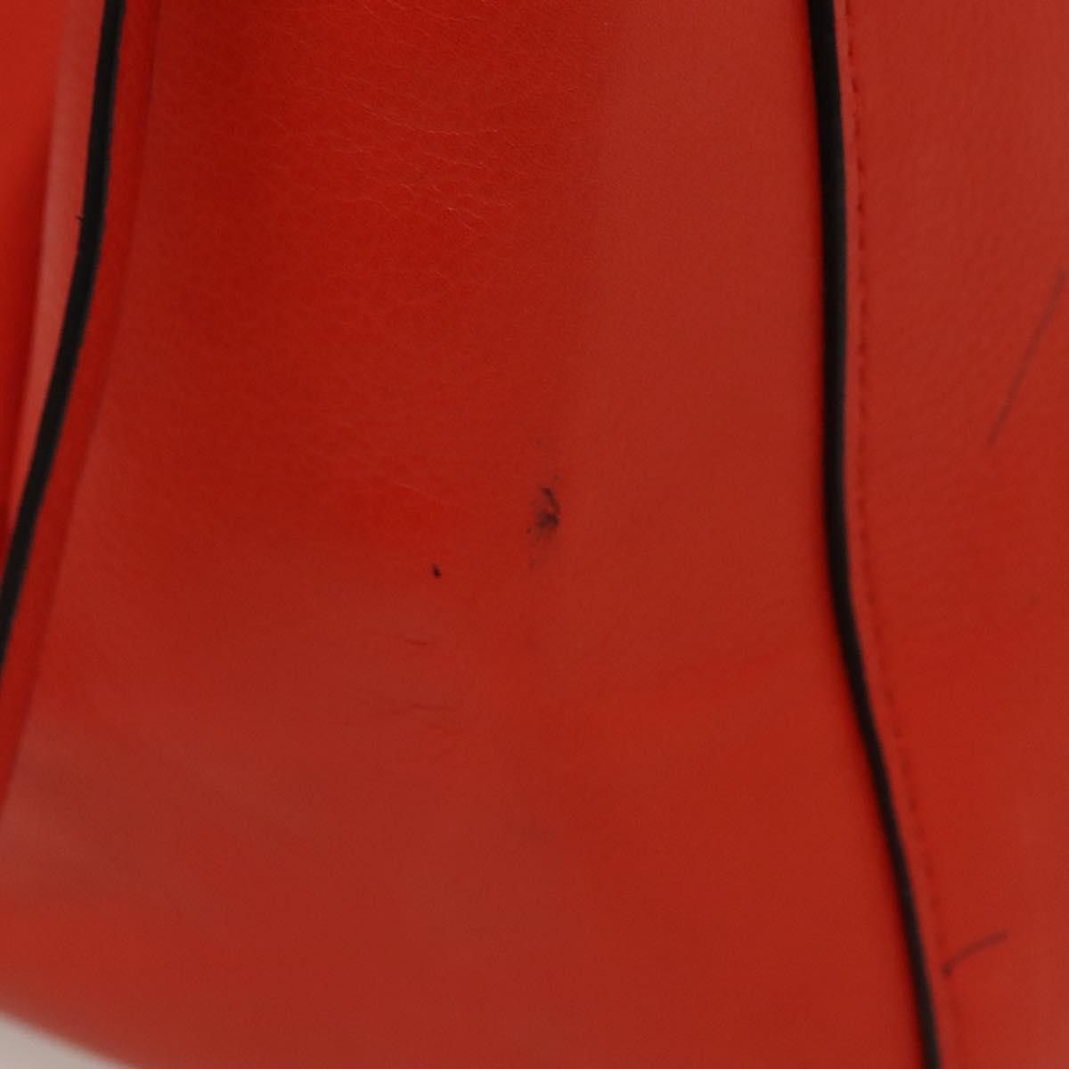 Celine Celine Edge Bag Leather Size ONE SIZE - 13 Thumbnail