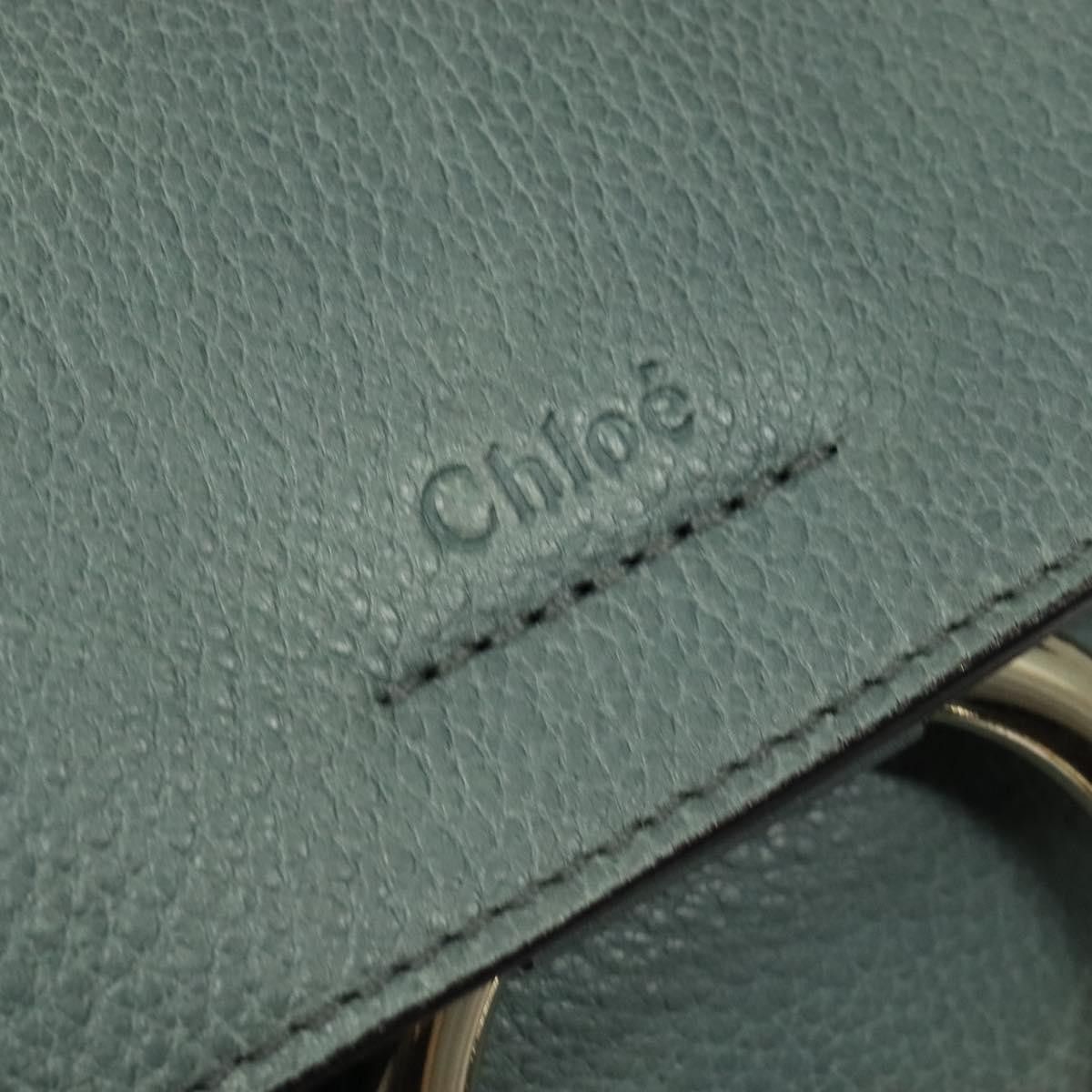 Chloe Chloe Faye Day Bag Leather Size ONE SIZE - 14 Thumbnail