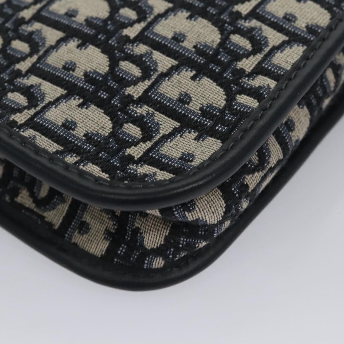 Dior Christian Dior Diorquake Clutch Oblique Canvas Size ONE SIZE - 9 Thumbnail