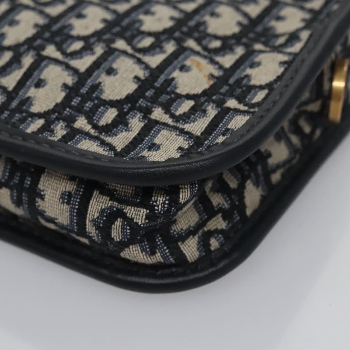 Dior Christian Dior Diorquake Clutch Oblique Canvas Size ONE SIZE - 8 Thumbnail