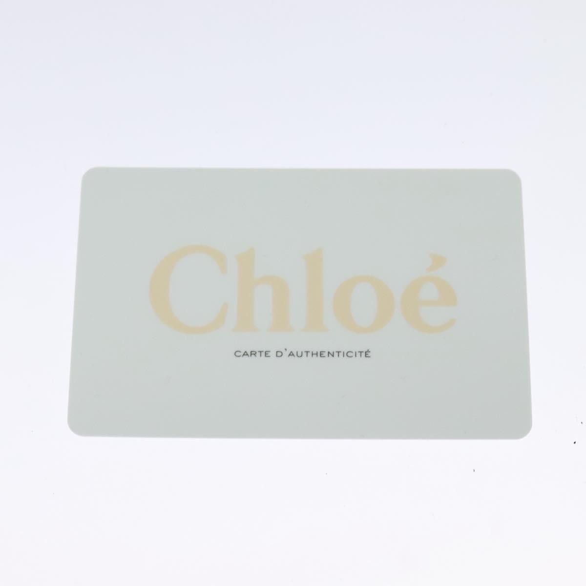Chloe Chloe Faye Leather and Suede Size ONE SIZE - 13 Thumbnail