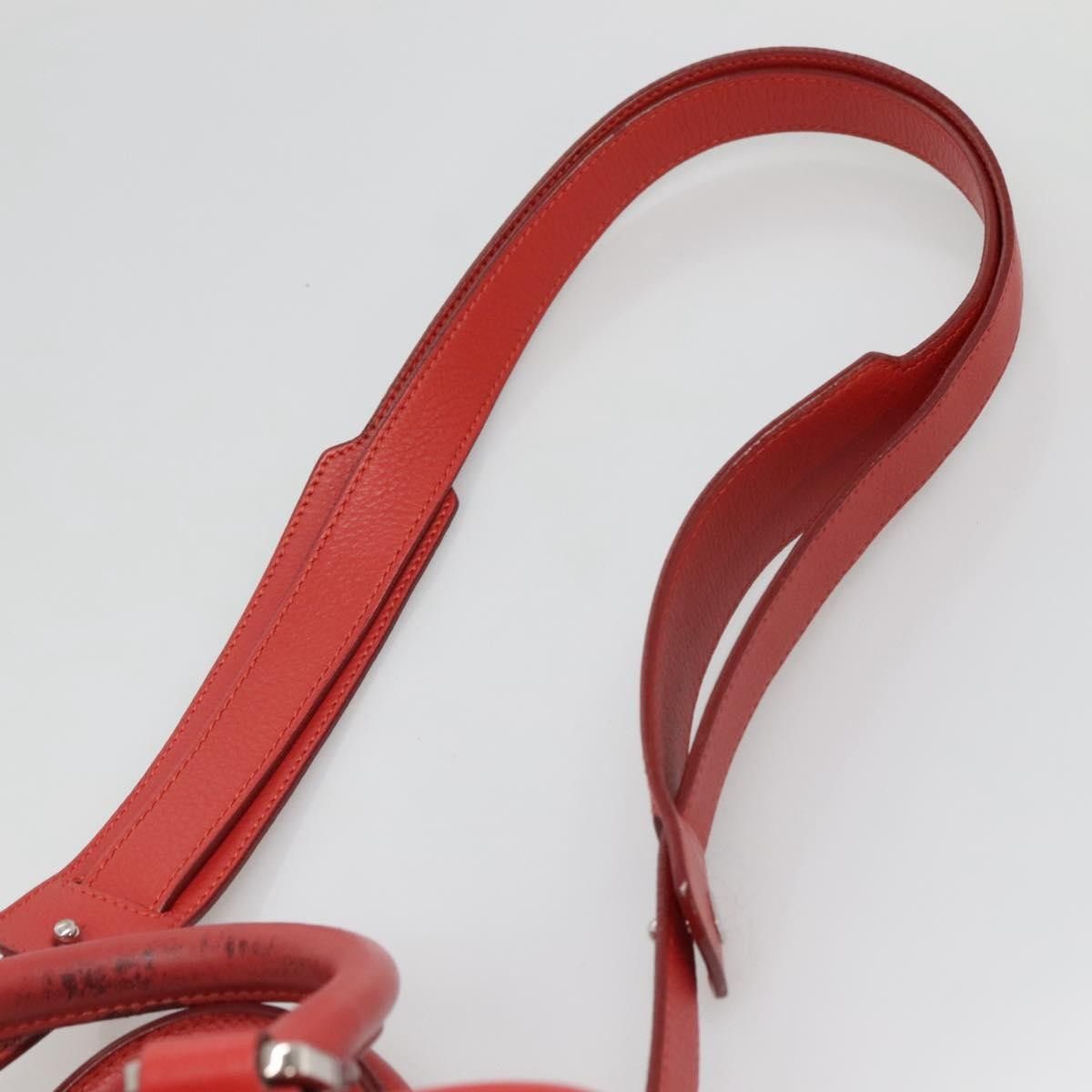 Loewe Loewe Amazona Bag Leather Size ONE SIZE - 20 Thumbnail