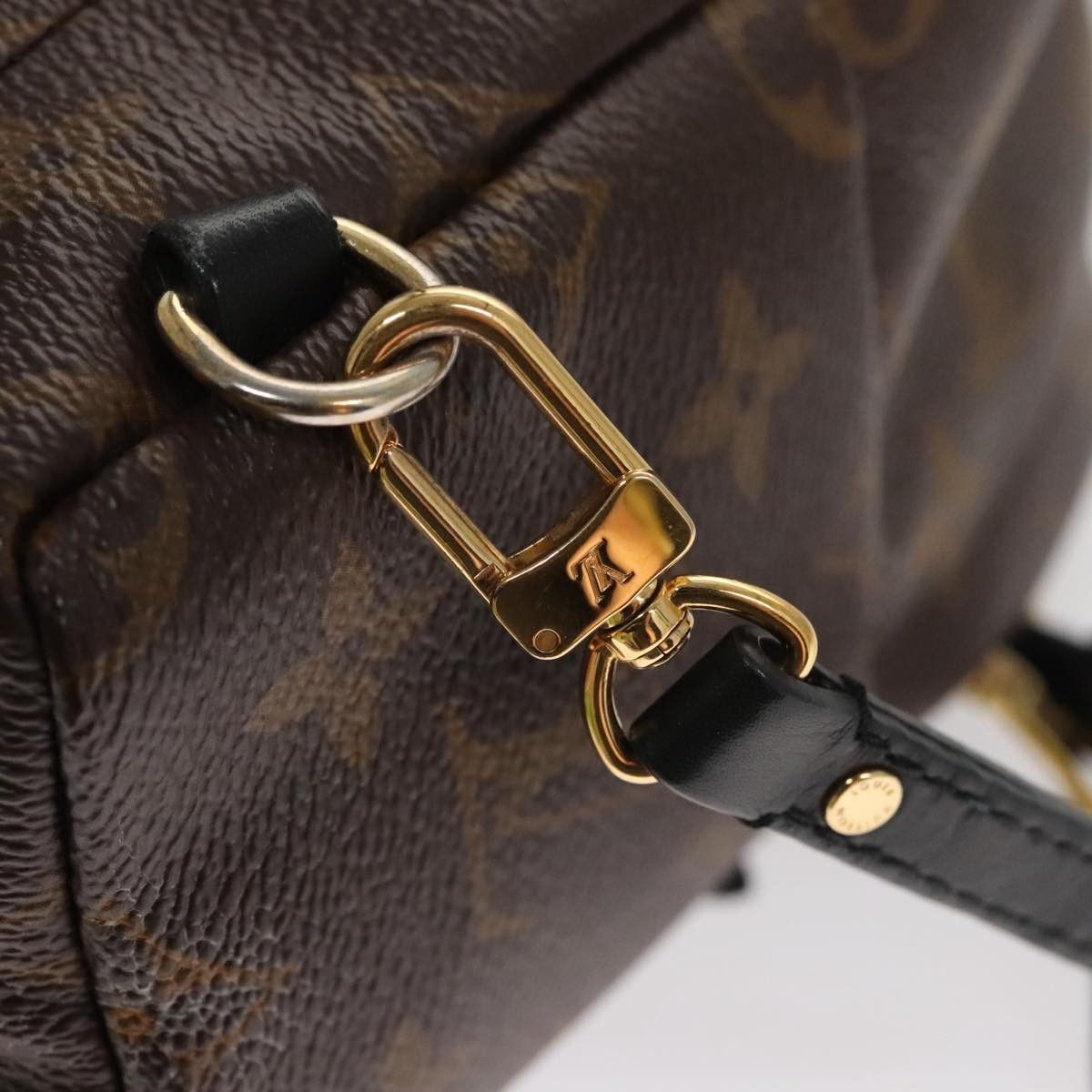 Louis Vuitton Louis Vuitton Palm Springs Backpack Monogram Canvas Size ONE SIZE - 14 Thumbnail