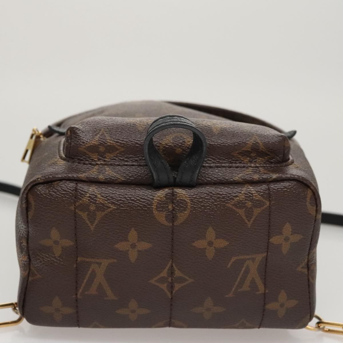 Louis Vuitton Louis Vuitton Palm Springs Backpack Monogram Canvas Size ONE SIZE - 16 Thumbnail